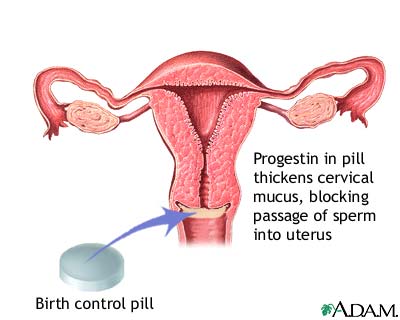 Birth control pills testosterone